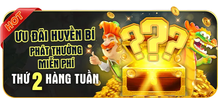 Đặt cược và theo dõi